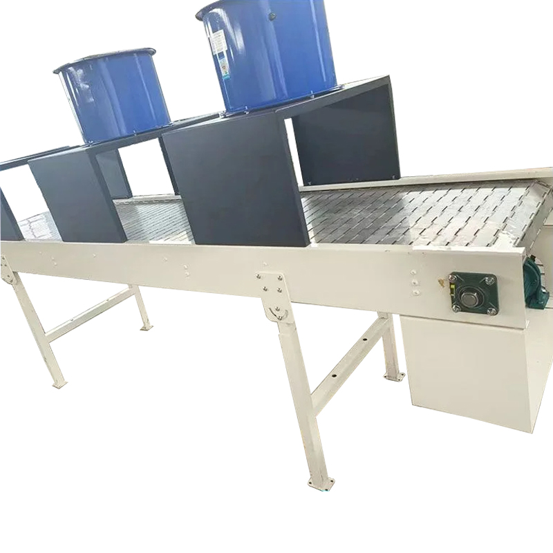 Bucket chain conveyor