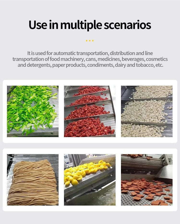 Chain Conveyer Chain Conveyer