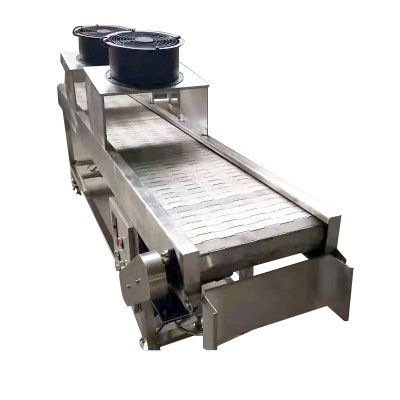 Bucket chain conveyor
