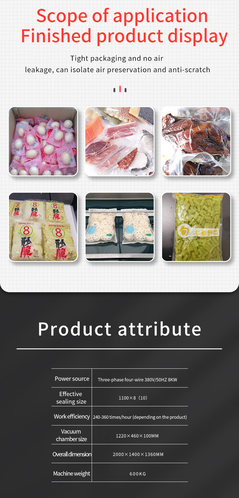 Vacuum Sealer Vacuum Sealer