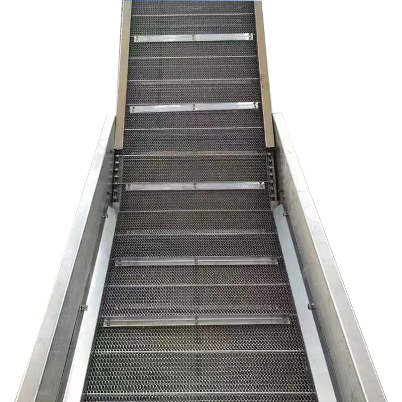 Bucket chain conveyor