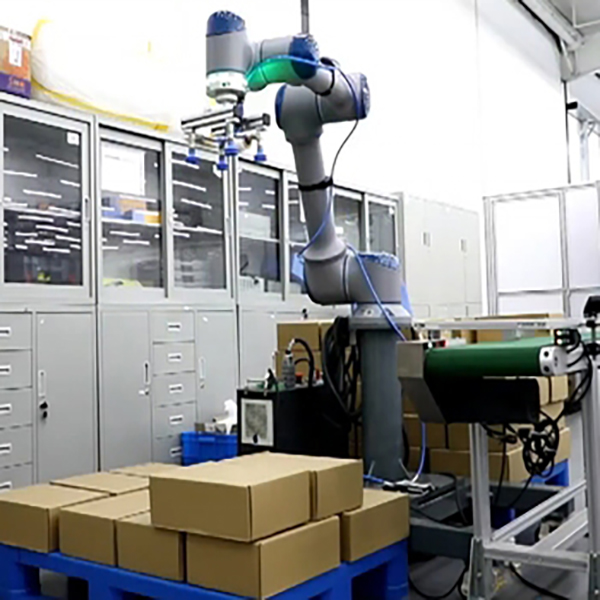 Collaborative palletizing robot