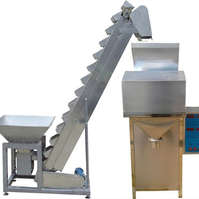 Chain bucket elevator