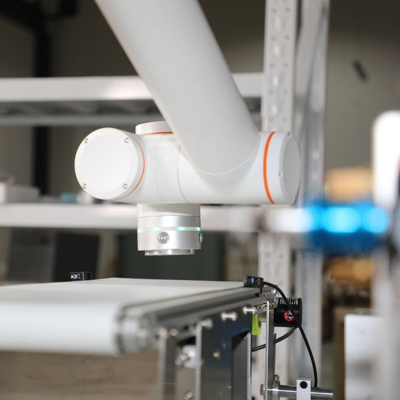 Collaborative spraying robot